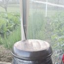 뜰안에 황토 이미지