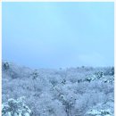 수이강한의원 이미지