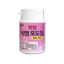 일진약품 이미지