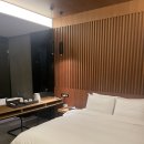 호텔더윈 | 고양 호텔더윈 &#39;디럭스 부티크&#39; 내돈내산 숙박후기 | 대형욕조&amp;스타일러&amp;주차장