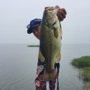 일박이일 A 이미지