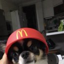 크루디티
