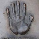 조준호 조준현 와와유도장 이미지