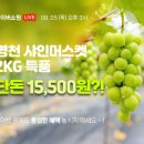 영천양잠농협 온라인쇼핑몰 | *9월 5일 라이브 공지ㅣ국내산 영천 샤인머스켓 2kg 단돈 15,500원