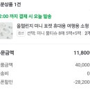 초미니 휴대용 물티슈 8매 5팩+5팩 5,900원 무배 이미지