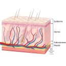 메디포레스트 필라테스 이미지