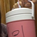 원미스파랜드 이미지