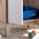 MODERN CAT 이미지