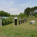 이덕사 이태연 묘비 이미지