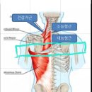 동환 정프로 레슨 6회차 ㅡ 다운블로 샷 이미지