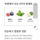 설탕 대체당(액상 알룰로스와 고추 1봉지 이미지