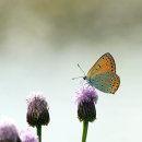 주홍 - 동구 동부로30길 25 | 주홍