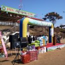 마산초등학교 이미지