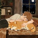 수원-1206 | 수원 강아지 화장, 합법 없습니다. 어떻게 하나요?