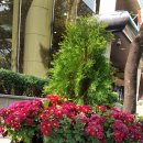 한국타이어빌딩 이미지