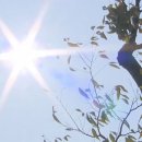 제주하우스 이미지