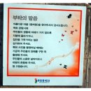 동피랑꿀빵 이미지