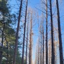 옹기골근린공원 이미지