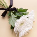 새금산장례식장 이미지