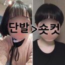 세정미용실 - 서구 비산동 | 세정미용실