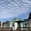 태안 도담빌리지 단체 키즈 갯벌 가족 수영장 | 태안 [도담빌리지] 키즈수영장가족-전체 독채 가을 방문기 (feat.아이들)