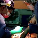 송 외과 이미지