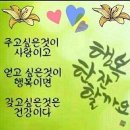 행복한잔 이미지