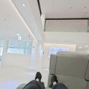 양지내과의원 | 원곡동 파인메디내과 - 안산 단원구 건강검진센터 수면 위내시경 후기