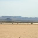 로또스토어 이미지