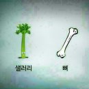 뷰티클리닉차만얼굴