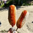 연지지 | 양평 두물머리 대표간식 “두물머리 연핫도그” 솔직후기 (원조X)