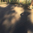 평화열린조산원 네이버블로그