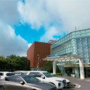 강아지 테마파크 | [JEJU] 제주도 여행 아이와 가볼 만한 곳 신화 월드 강아지 고양이 테마파크 댕냥별