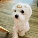 가평잣_[가평으뜸잣🌟 내돈내산 구입후기✅]_환절기 영양듬뿍 잣챙겨먹기(ft. 잣 효능)_잣보관법•잣보관...
