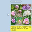 백여사반찬 이미지
