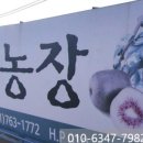 금이농장 이미지