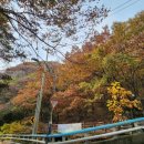 하단동171 이미지