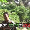 또바개 네이버블로그