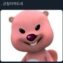 풍성양 이미지