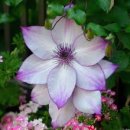 맑음터공원-A 이미지