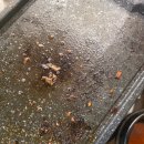 통일로 760 | 관산동 맛집, 국내산 생삼겹, 내돈내산 솔직후기, 관산돈!