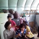 윤식농장 이미지