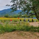 대암주유소 이미지