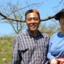 시저사 이미지