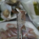 여수횟집1호점 이미지