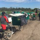 망상농장 이미지