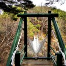 힐링(만인산) 이미지