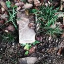 (주)에이프로젠바이오로직스 이미지