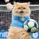 북중미월드컵 응원 영상 만들기, 사진 한 장으로 완성하는 나만의 AI 축구 콘텐츠 제작 후기