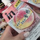 7/25 나니와단시 BONBON VOYAGE 요코아리 참전 후기